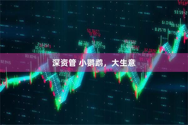 深资管 小鹦鹉，大生意