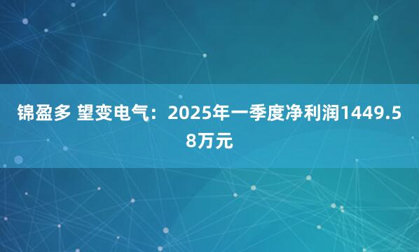锦盈多 望变电气：2025年一季度净利润1449.58万元