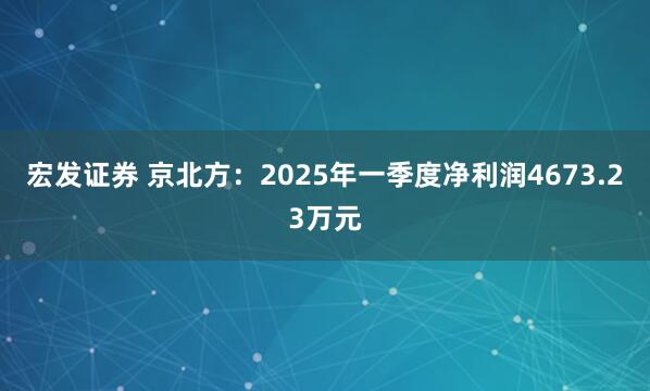 宏发证券 京北方：2025年一季度净利润4673.23万元