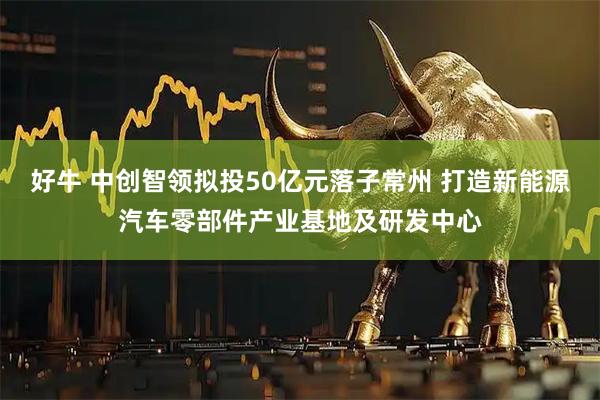 好牛 中创智领拟投50亿元落子常州 打造新能源汽车零部件产业基地及研发中心