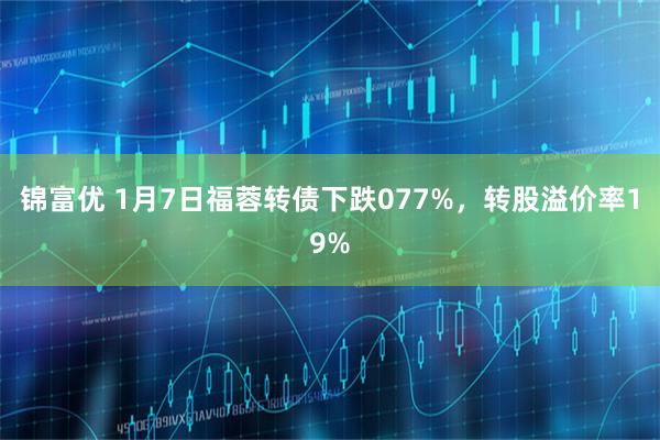 锦富优 1月7日福蓉转债下跌077%，转股溢价率19%